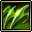Claw of Ascetic